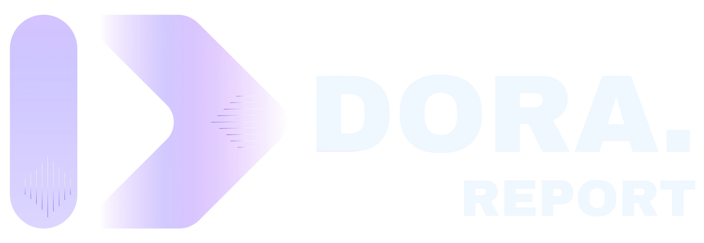 DORA.report reporting platform logo DORA.report reporting platform logo